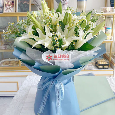 大连8支白色多头百合洋甘菊，互倾的思念