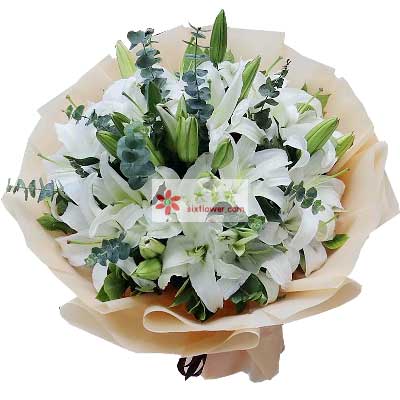 大连9支白色多头百合，祝福你幸福
